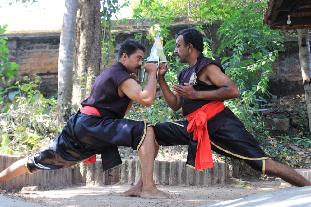 Health & Wellness for Adults